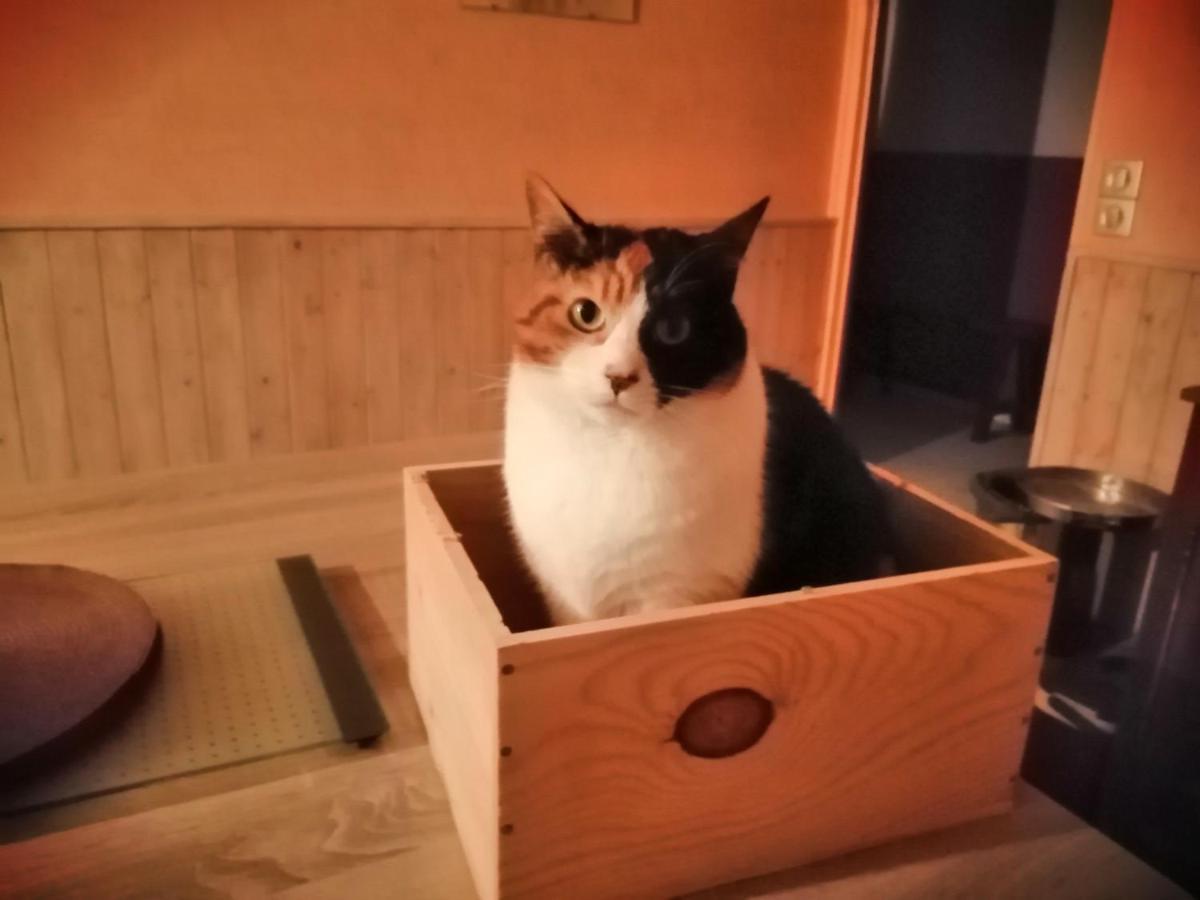 Grande Chambre D'Hote Proche Disneyland Et Parc Des Felins Guérard Buitenkant foto